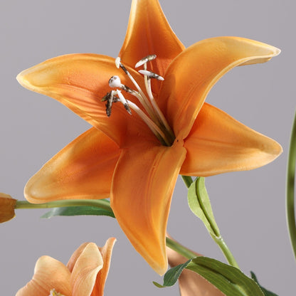 Modern, Light-luxury Glass Flower Vases For Floral Arrangements
